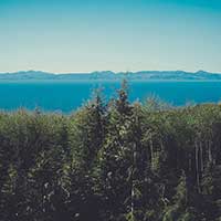 电话轰炸免费在线网站