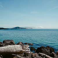 备份还原便捷的免费电话在线轰炸