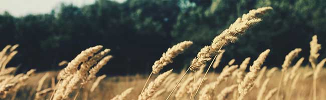 在线呼死你轰炸