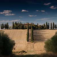 无需手动设置的在线短信云呼网