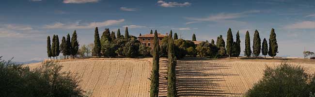 手机被攻击连续收短信