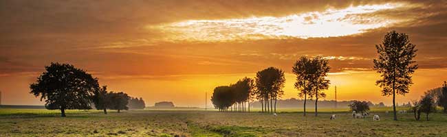 在线呼死你轰炸